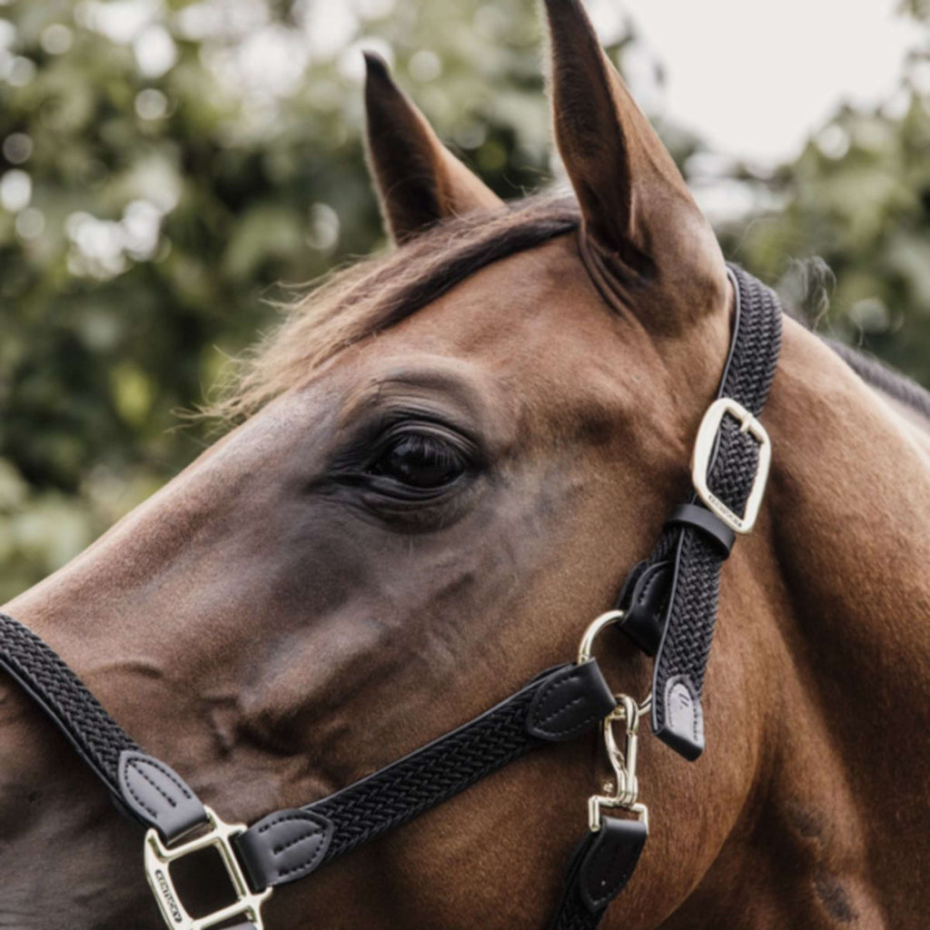 Kentucky Horsewear Cabestro Nylon trenzado Negro