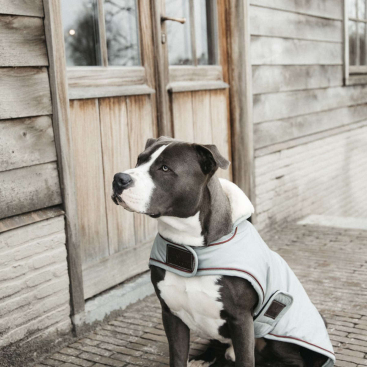 Kentucky Dogwear Abrigo para Perro Waterproof 160g Dusty Blue