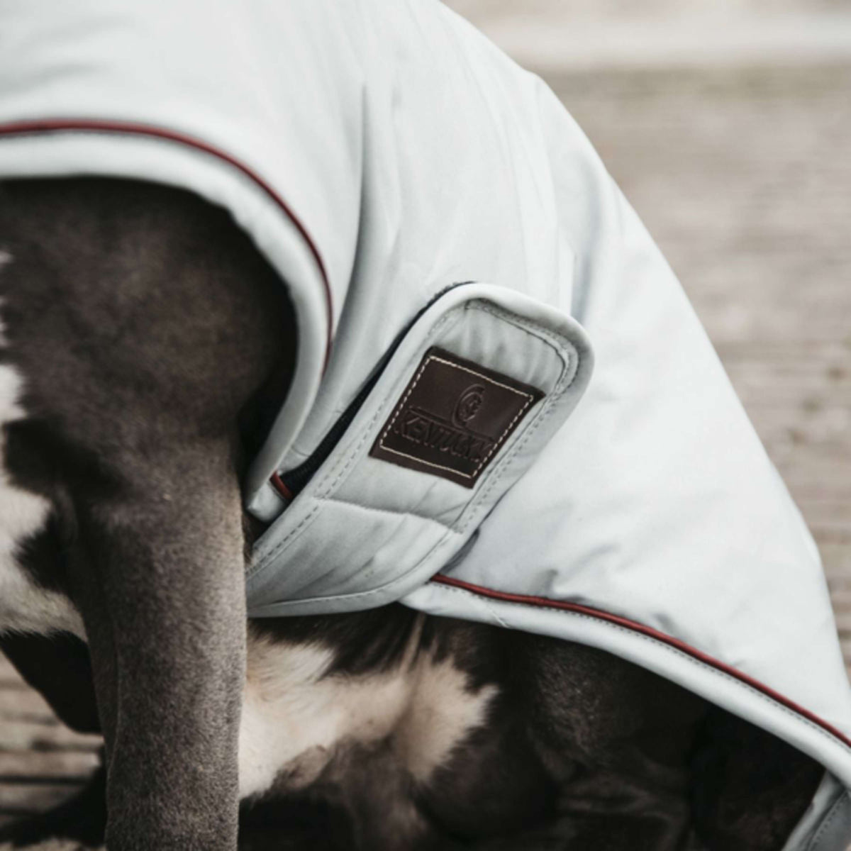 Kentucky Dogwear Abrigo para Perro Waterproof 160g Dusty Blue