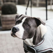 Kentucky Dogwear Abrigo para Perro Waterproof 160g Dusty Blue