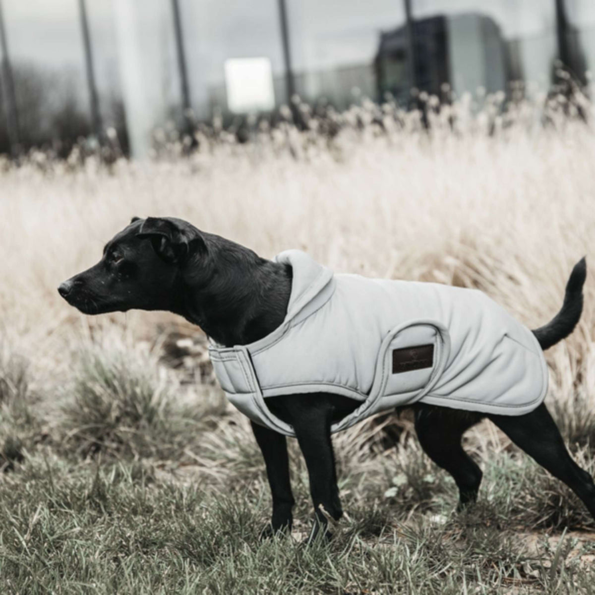 Kentucky Dogwear Abrigo para Perro Reflective & Water Repellent Belly Cover 150g Plata