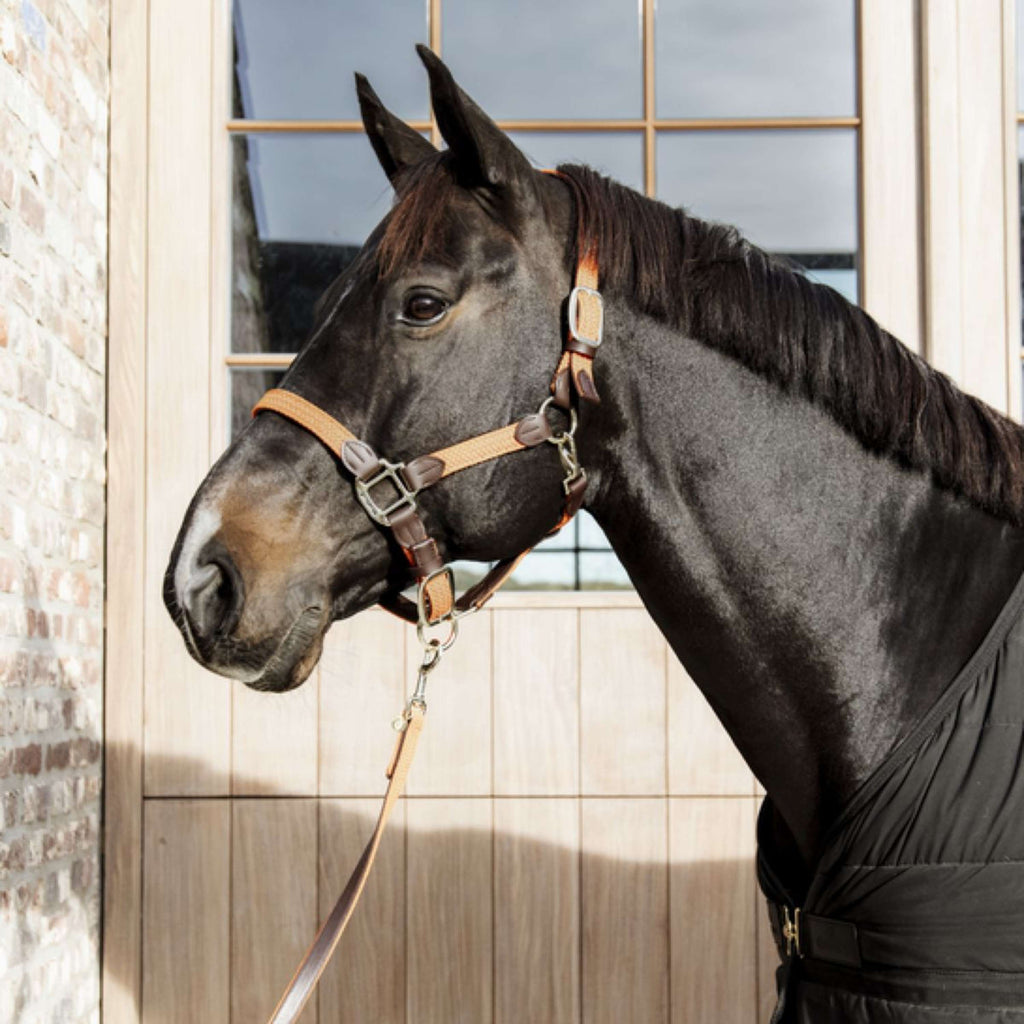 Kentucky Horsewear Cabestro Nylon trenzado Naranja
