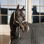 Kentucky Horsewear Cabezada Nylon Beige