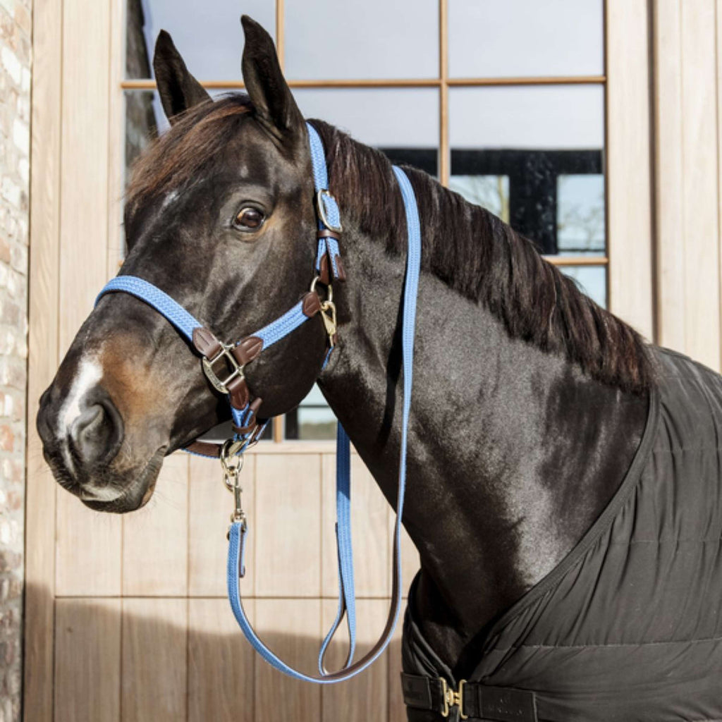 Kentucky Horsewear Cabestro Nylon trenzado Azul claro