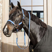 Kentucky Horsewear Cabezada Nylon Azul claro