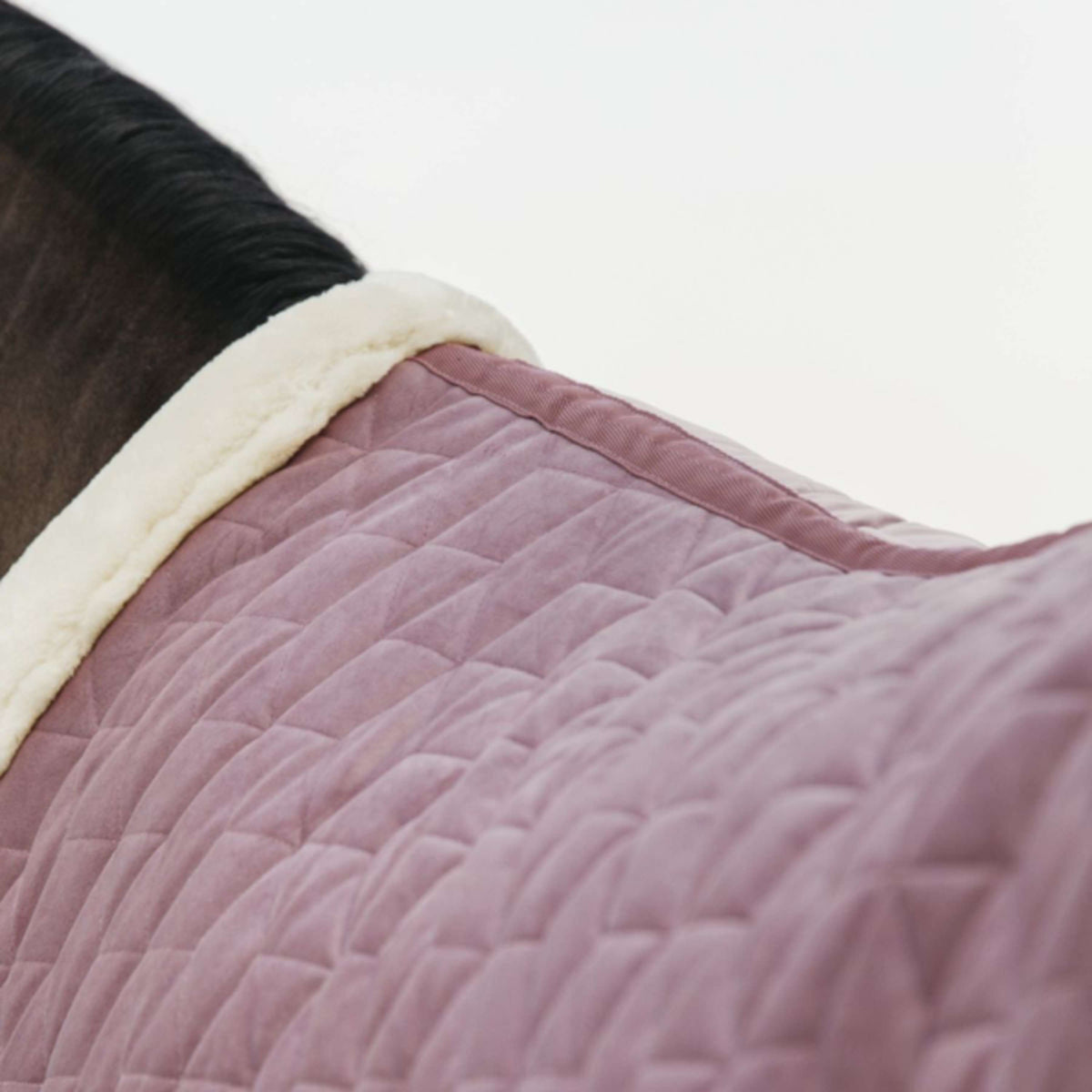 Kentucky Horsewear Manta de exhibición Velvet Rosa Viejo