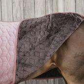 Kentucky Horsewear Manta de exhibición Velvet Rosa Viejo