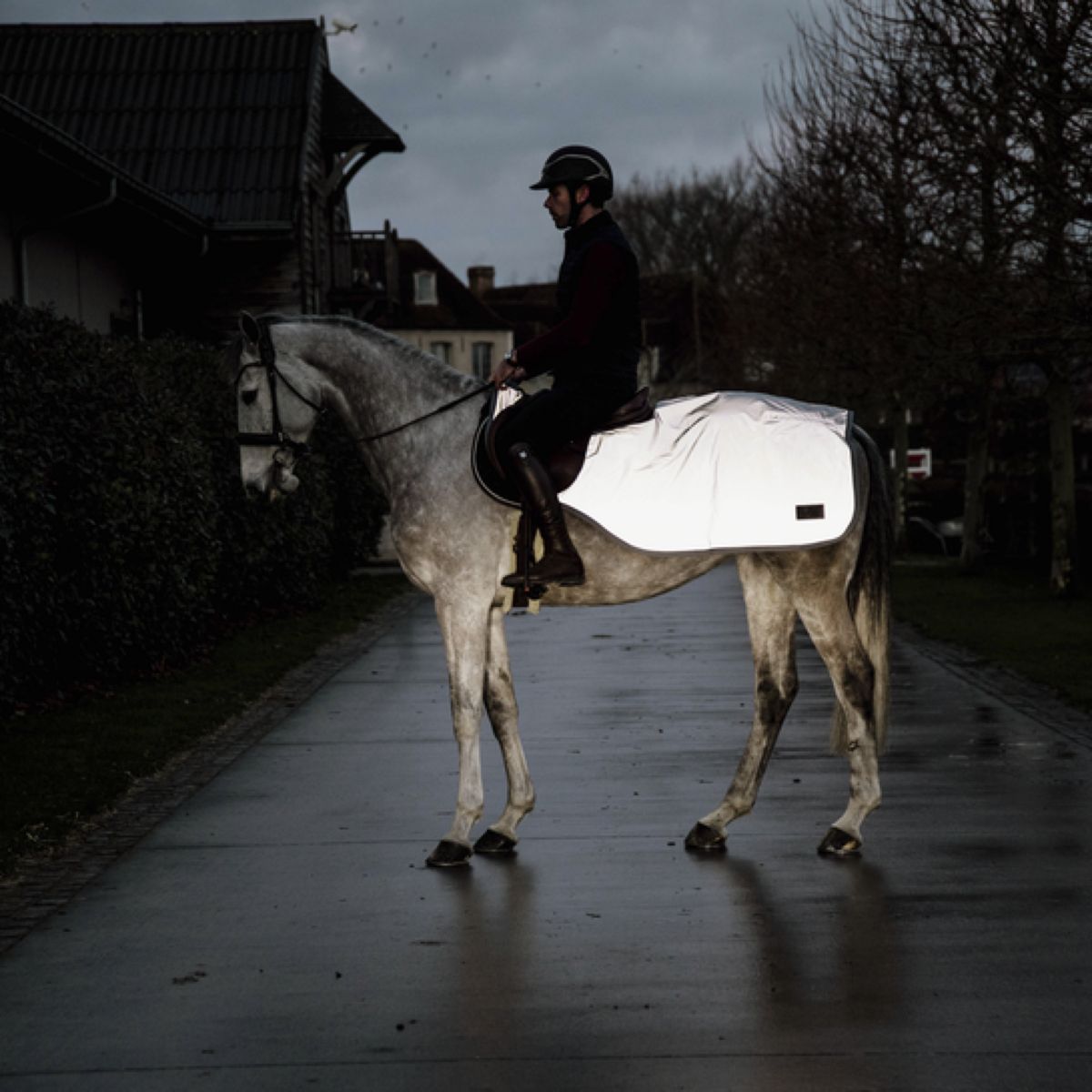 Kentucky Horsewear Manta de ejercicio Reflective Reflective