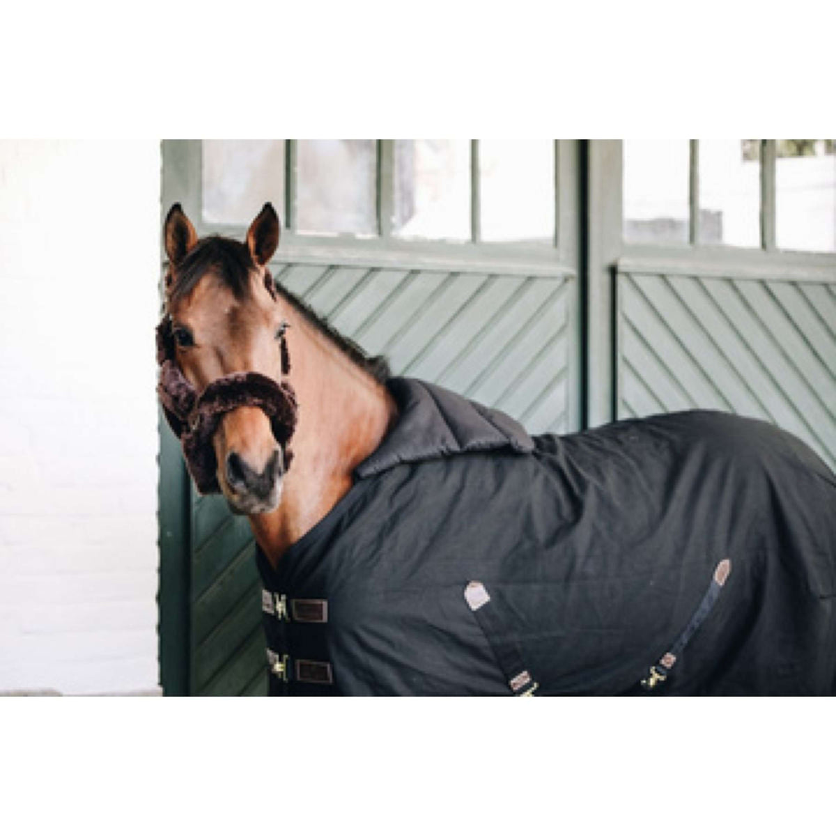 Kentucky Horsewear Bib Verano Negro
