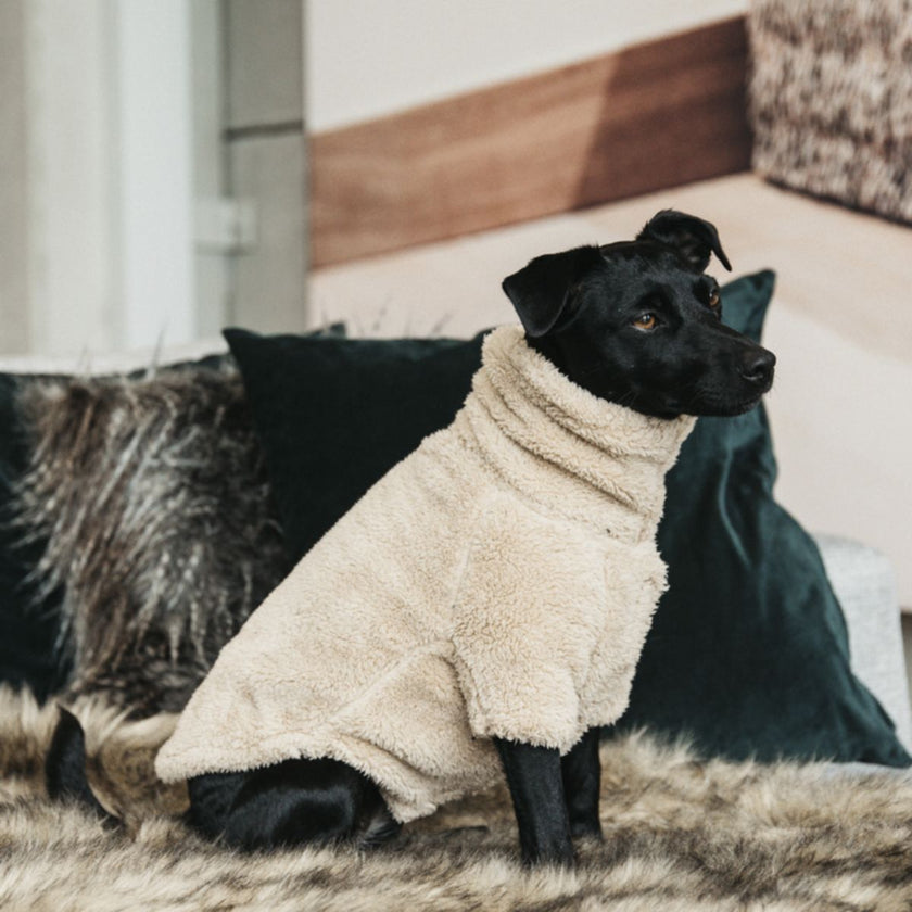 Kentucky Dogwear Sweater Beige