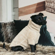 Kentucky Dogwear Sweater Beige