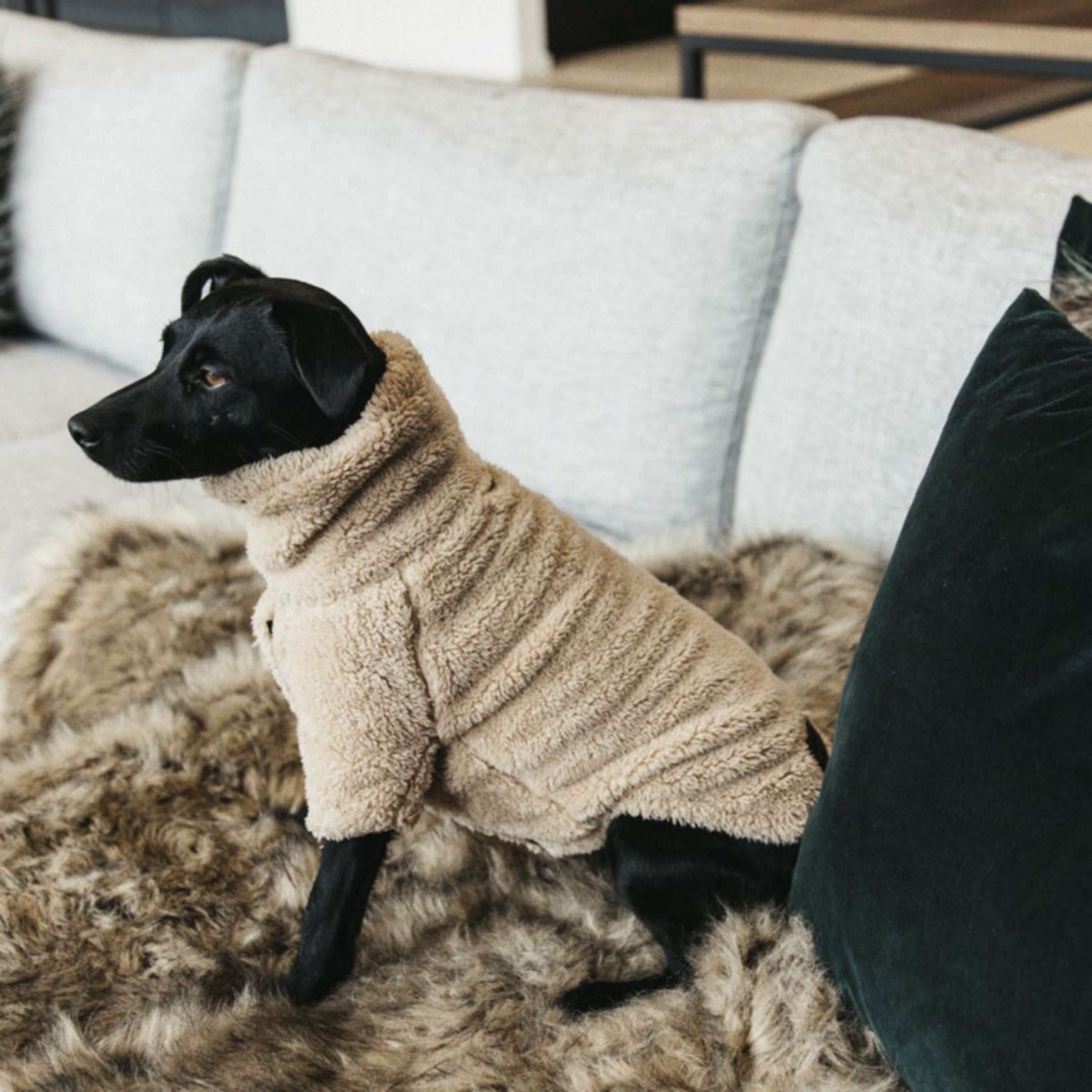 Kentucky Dogwear Sweater Beige Kentucky Dogwear Sweater Beige