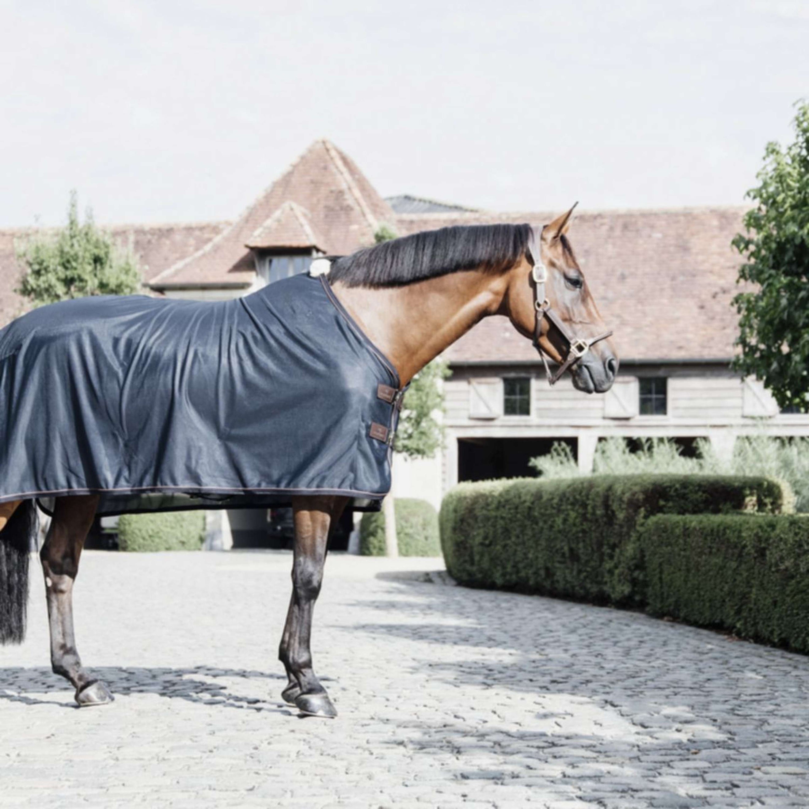 Kentucky Horsewear Manta Antimoscas Navy