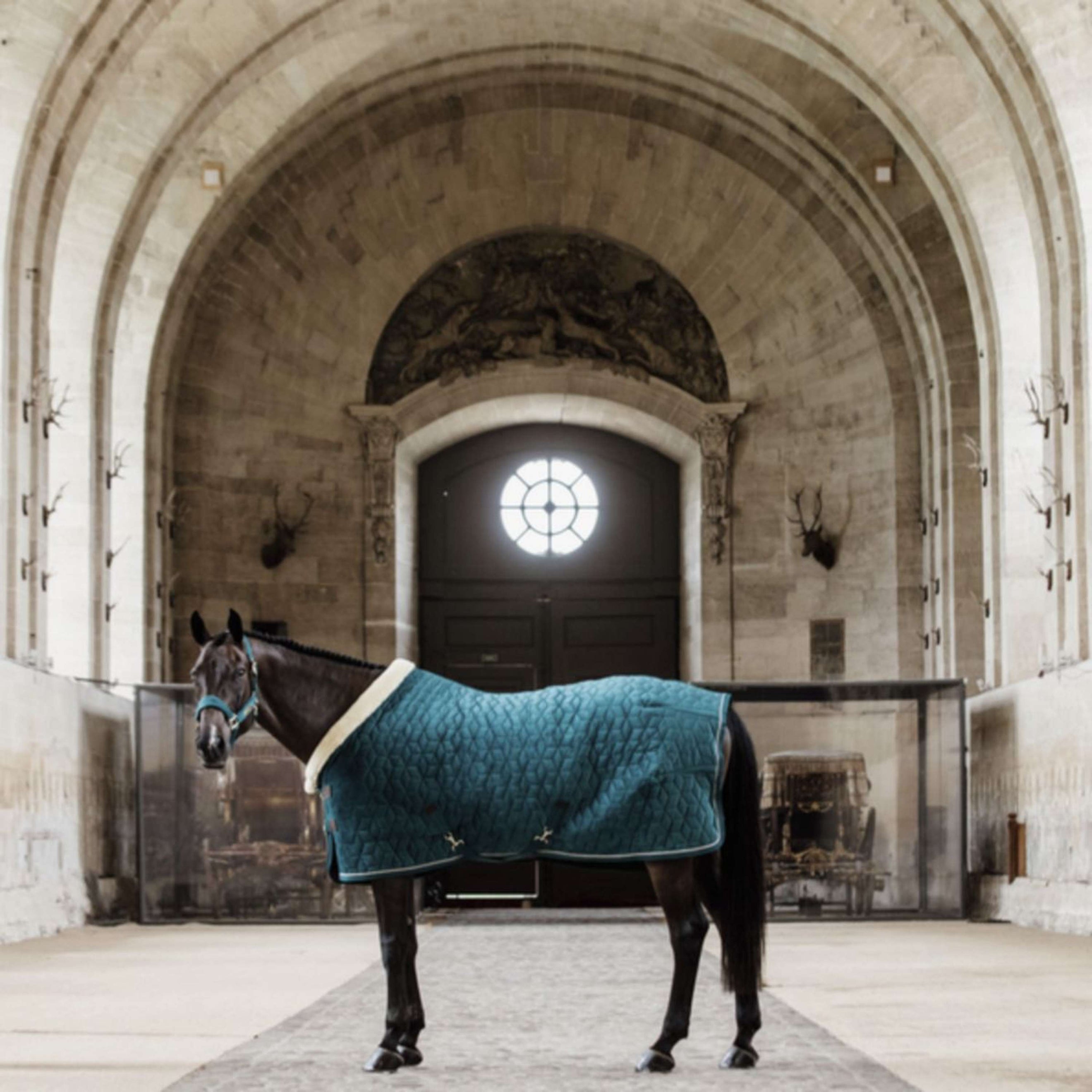 Kentucky Horsewear Manta de exhibición Velvet Esmeralda Kentucky Horsewear Manta de exhibición Velvet Esmeralda
