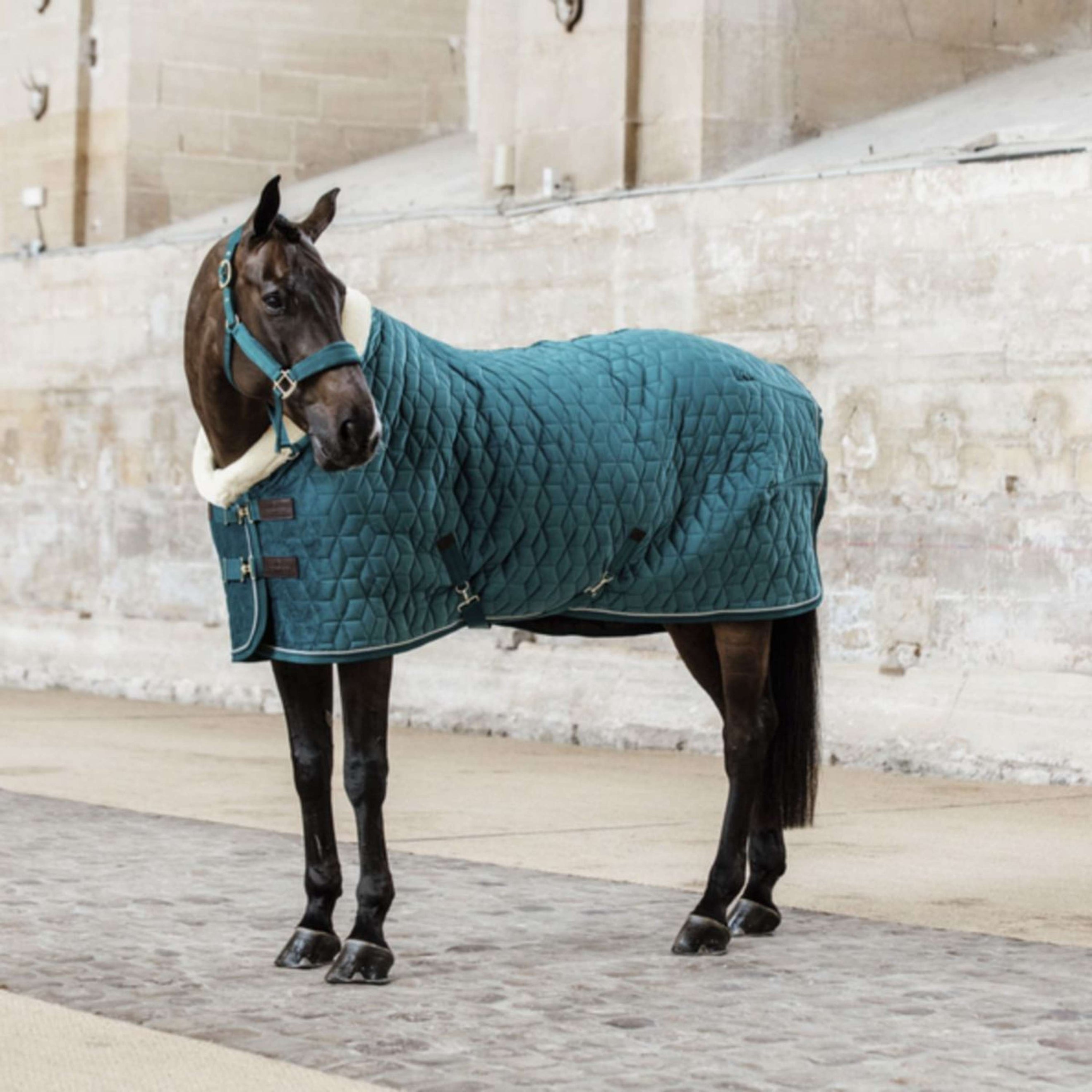 Kentucky Horsewear Manta de exhibición Velvet Esmeralda Kentucky Horsewear Manta de exhibición Velvet Esmeralda