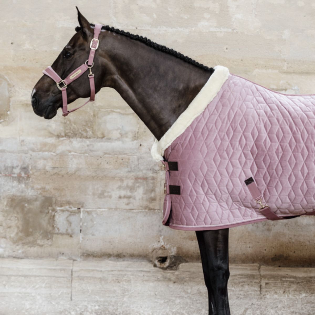 Kentucky Horsewear Manta de exhibición Velvet Rosa Viejo