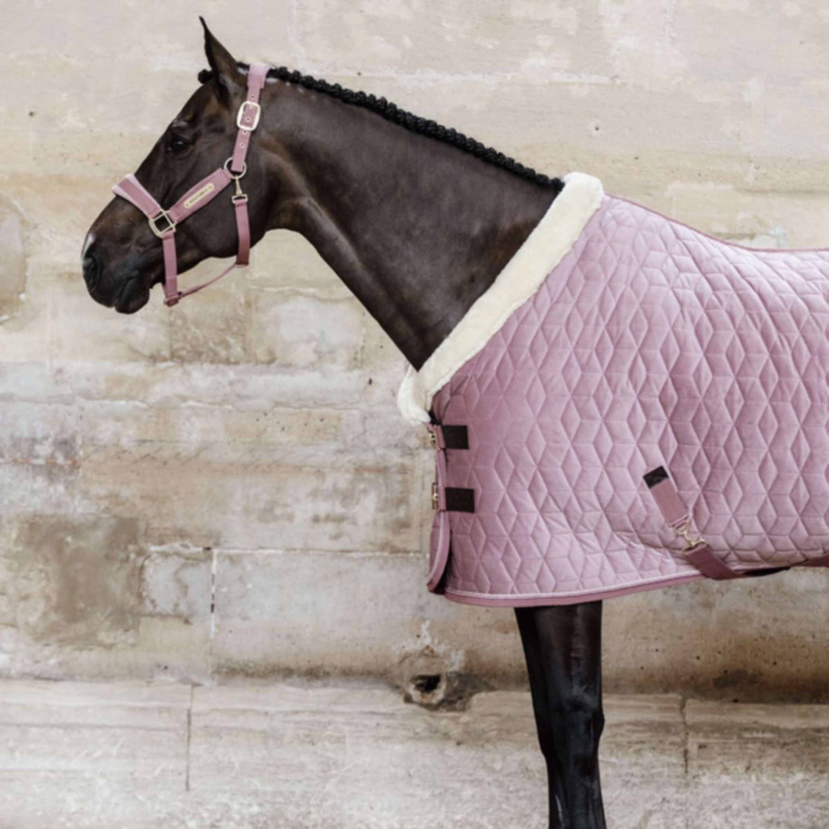 Kentucky Horsewear Manta de exhibición Velvet Rosa Viejo Kentucky Horsewear Manta de exhibición Velvet Rosa Viejo