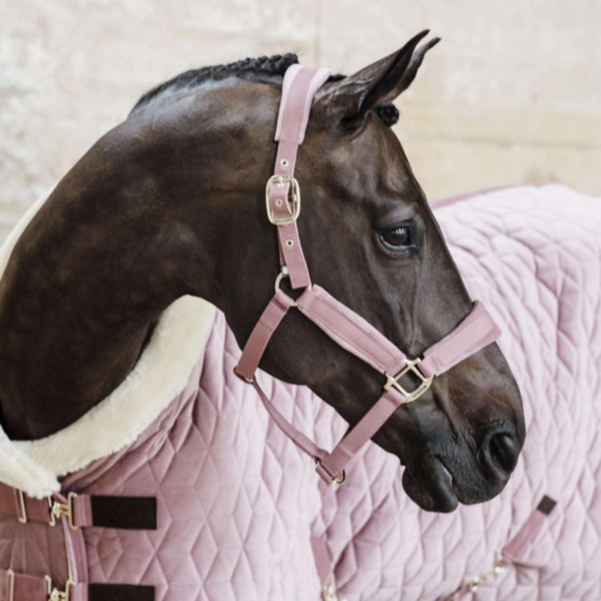 Kentucky Horsewear Cabezada Velvet Rosa Viejo