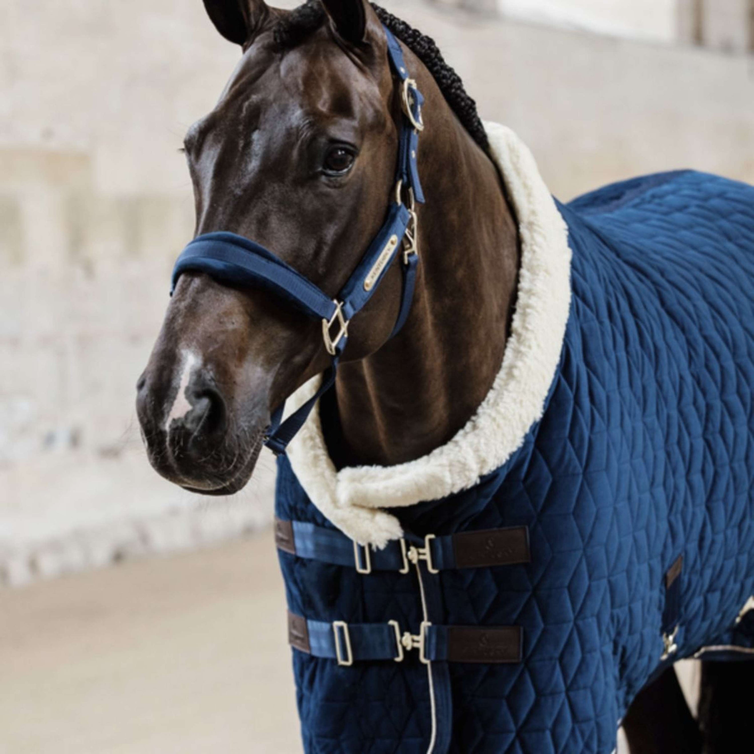 Kentucky Horsewear Manta de exhibición Velvet 160g Navy