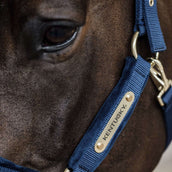 Kentucky Horsewear Cabezada Velvet Navy