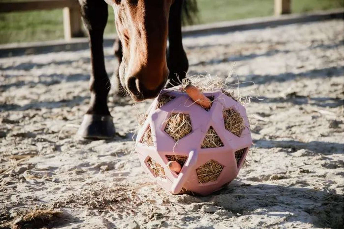 Kentucky Horsewear Pelota de Juego Play & Hay Rosa Viejo