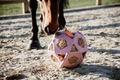 Kentucky Horsewear Pelota de Juego Play & Hay Rosa Viejo