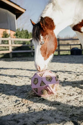 Kentucky Horsewear Pelota de Juego Play & Hay Rosa Viejo