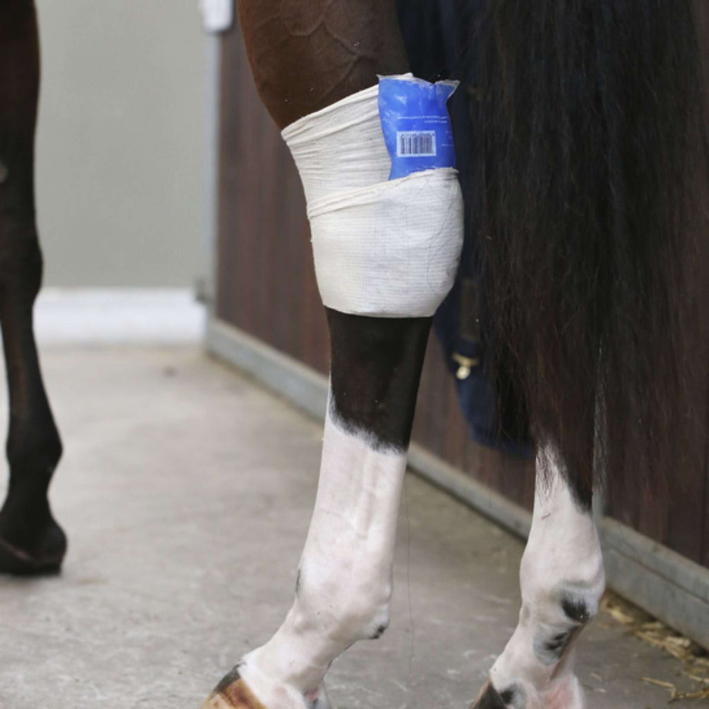 Kentucky Horsewear calcetines de montar Tendon Grip Beige