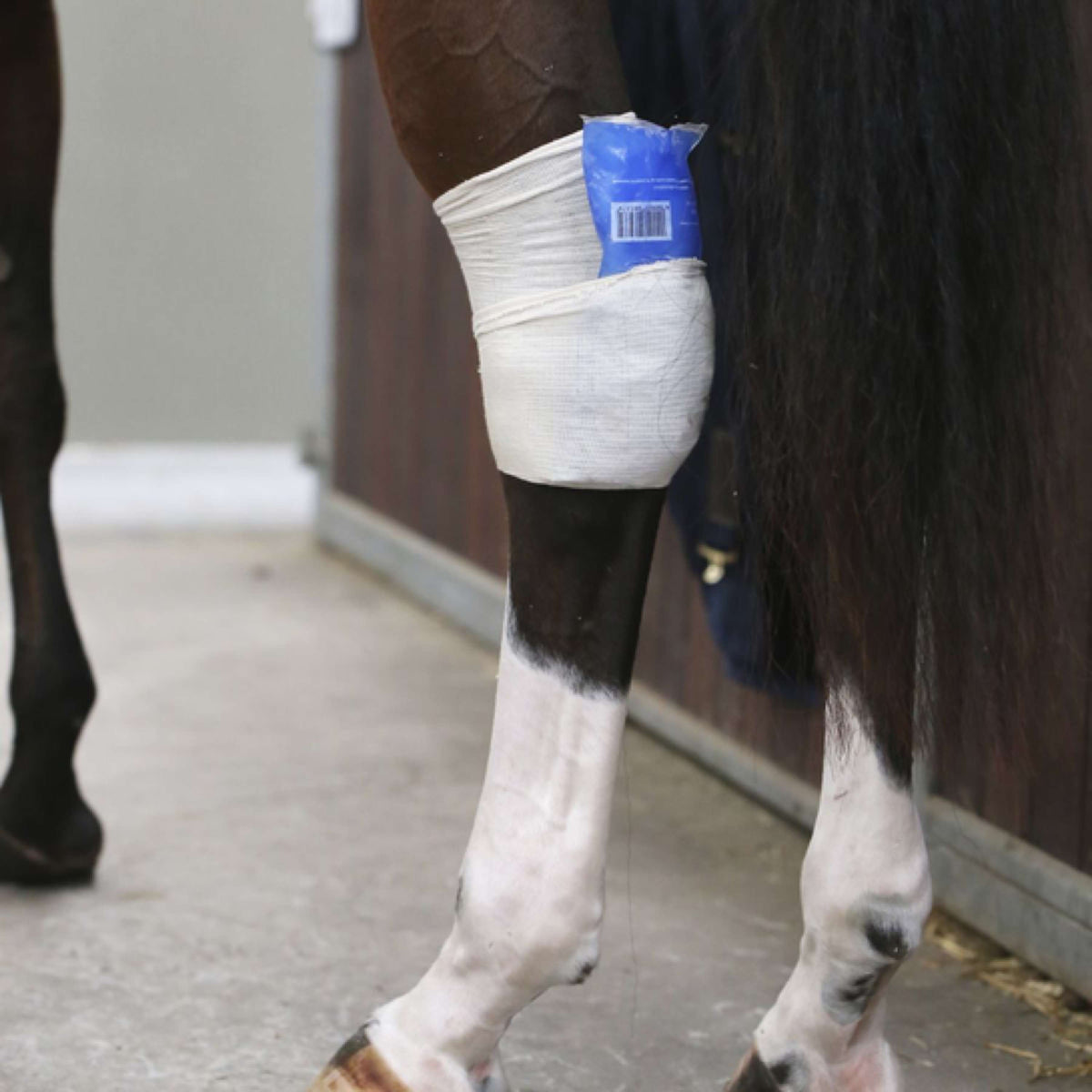 Kentucky Horsewear calcetines de montar Tendon Grip Beige