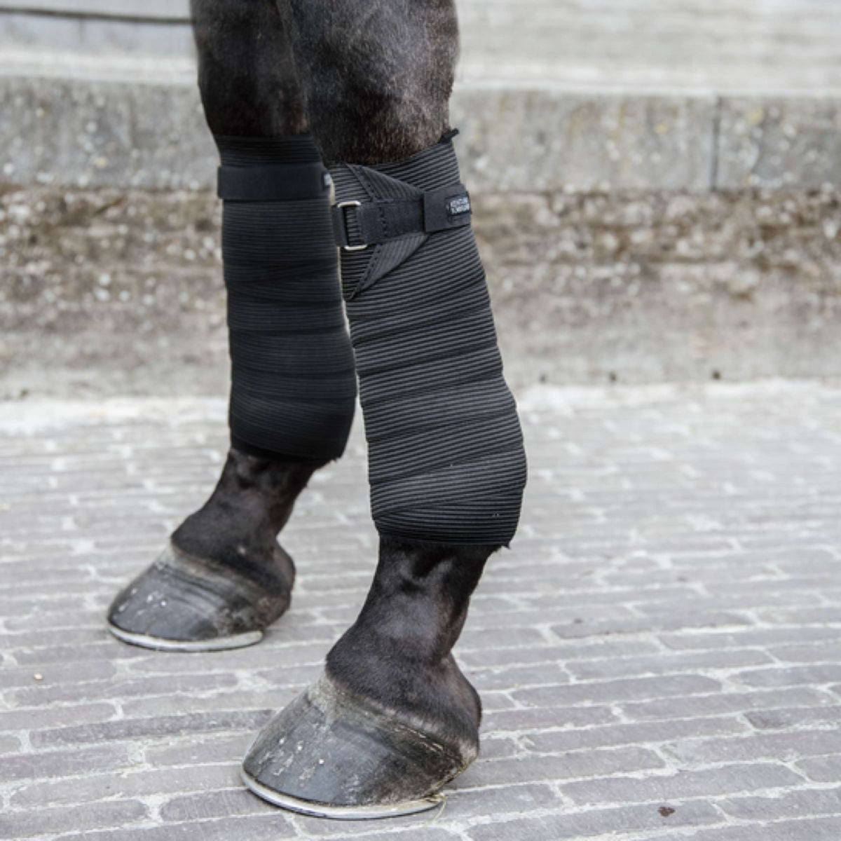 Kentucky Horsewear Vendajes Elastic Negro