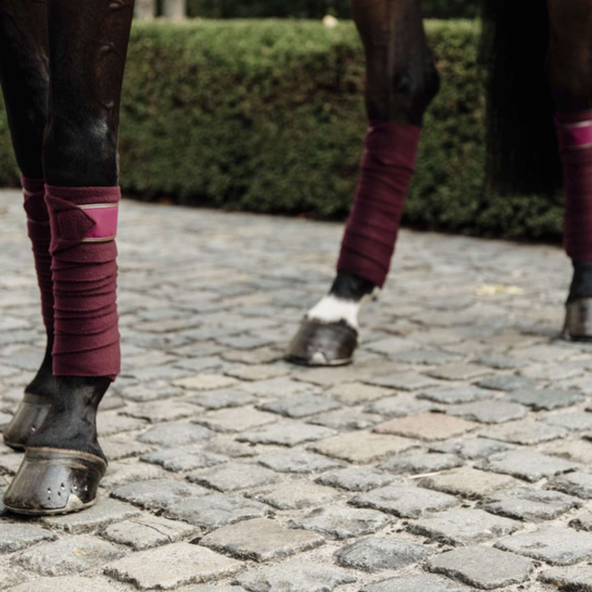 Kentucky Horsewear Vendajes Polar Fleece Bordeaux