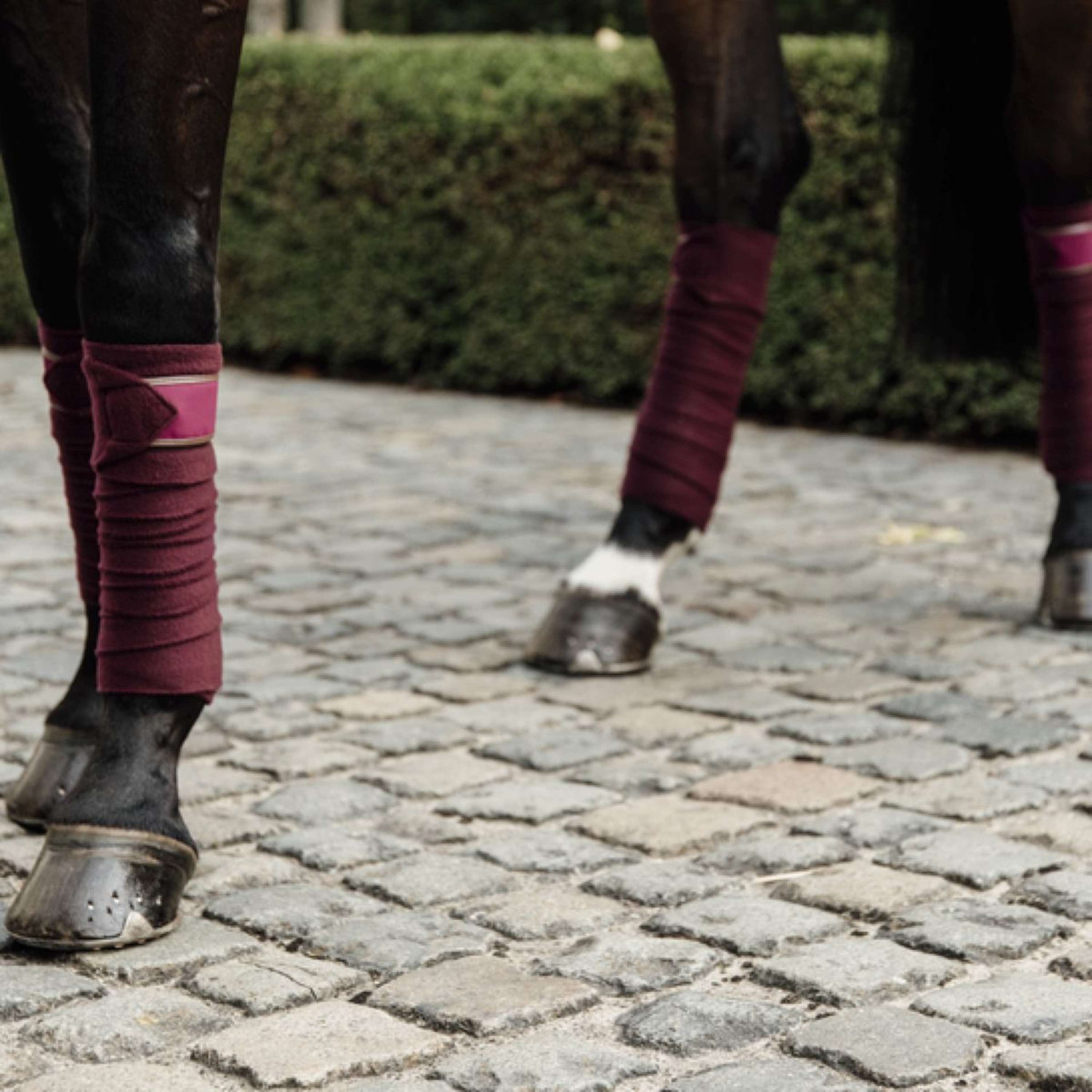Kentucky Horsewear Vendajes Polar Fleece Bordeaux