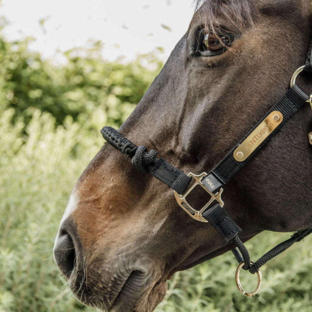 Kentucky Horsewear Cabestro de control Nylon Negro
