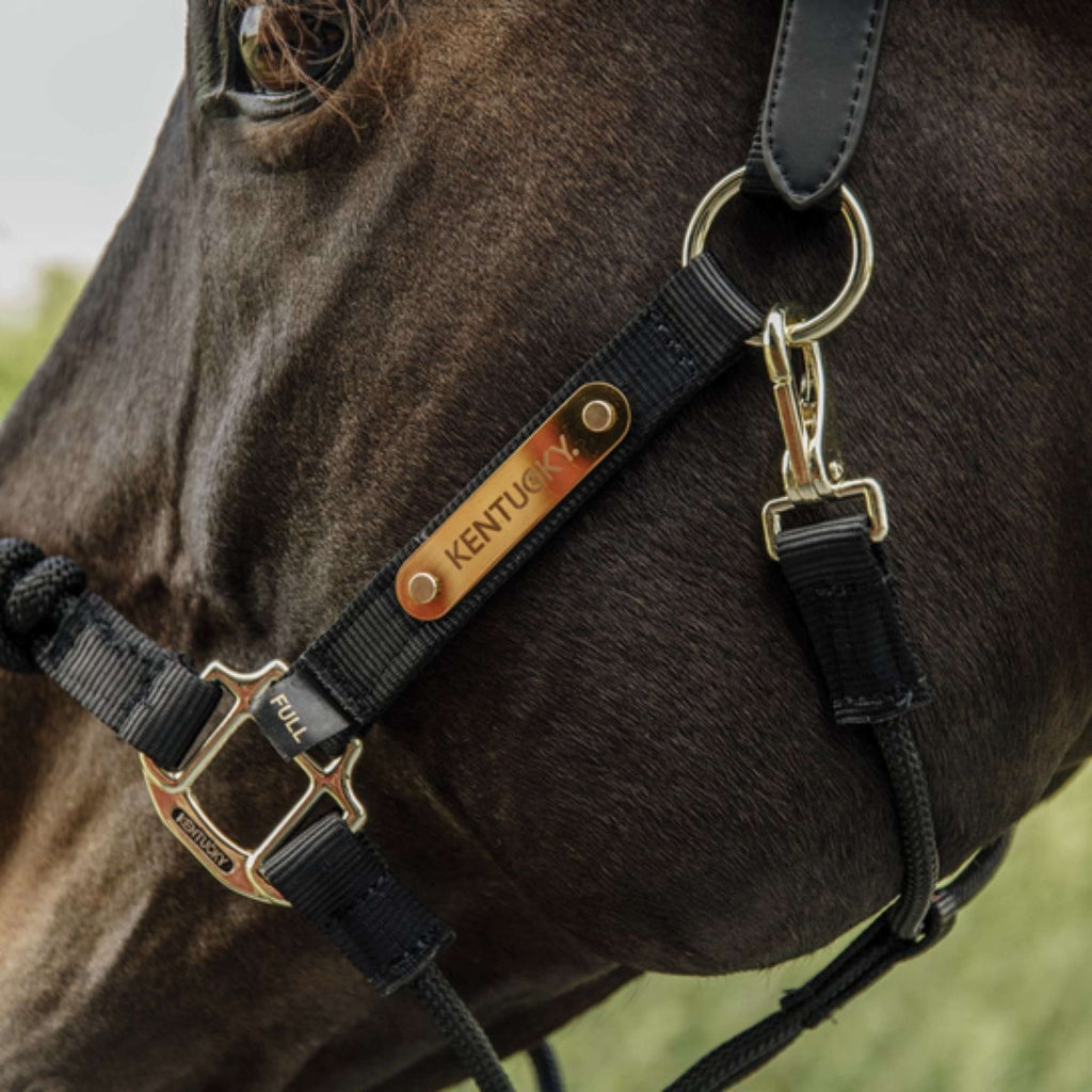 Kentucky Horsewear Cabestro de control Nylon Negro