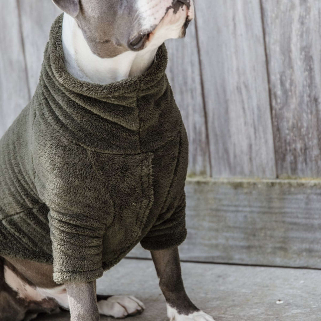 Kentucky Dogwear Dog Sweater Teddy Fleece Pine Green