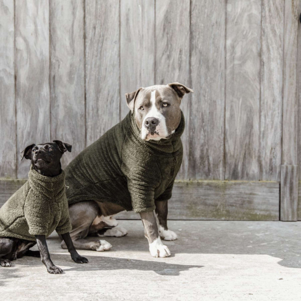 Kentucky Dogwear Dog Sweater Teddy Fleece Pine Green