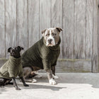 Kentucky Dogwear Dog Sweater Teddy Fleece Pine Green