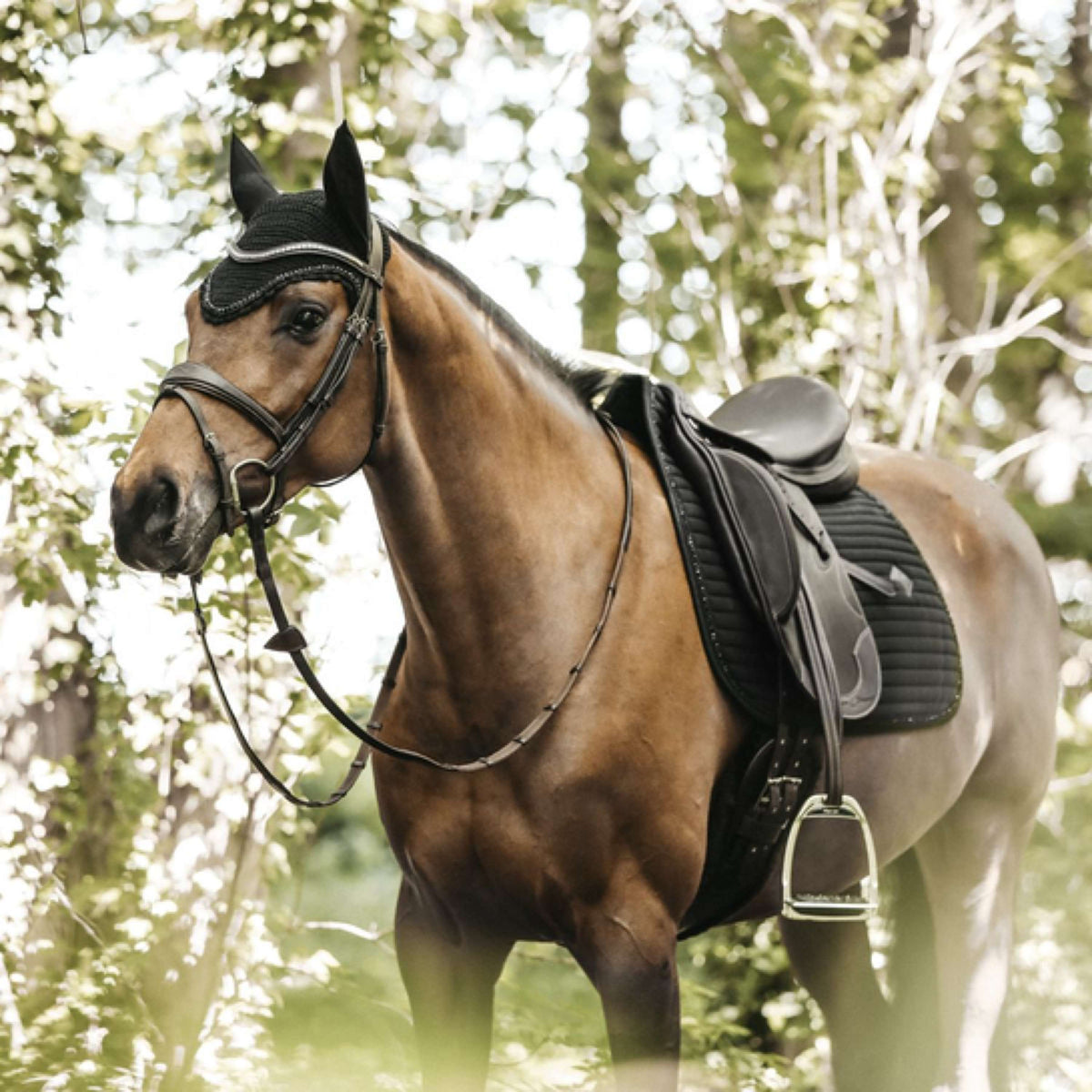 Kentucky Horsewear Mantilla de Doma Clásica Pearls Negro
