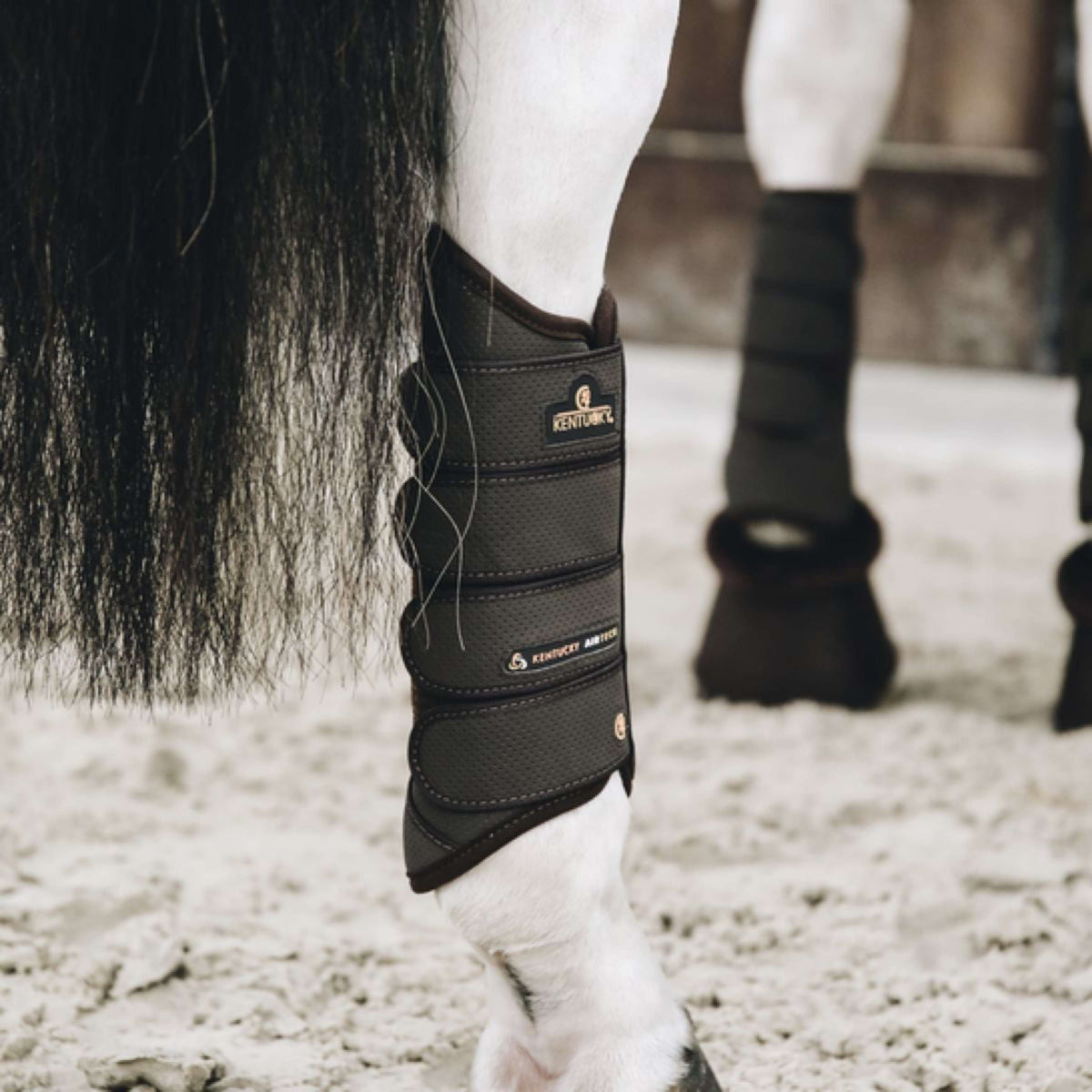 Kentucky Horsewear Eventing Boots Air Tech Español: Atrás Marron