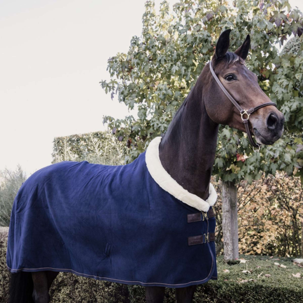 Kentucky Horsewear Manta polar para espectáculos Marino