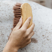 Grooming Deluxe by Kentucky Cepillo Middle Marron