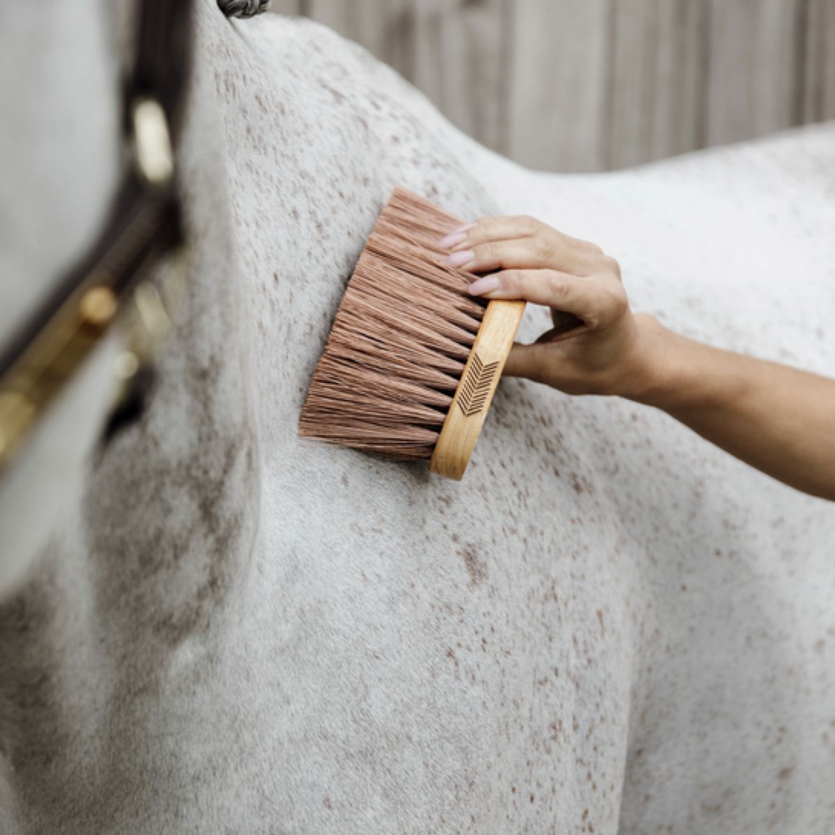 Grooming Deluxe by Kentucky Cepillo Middle Marron
