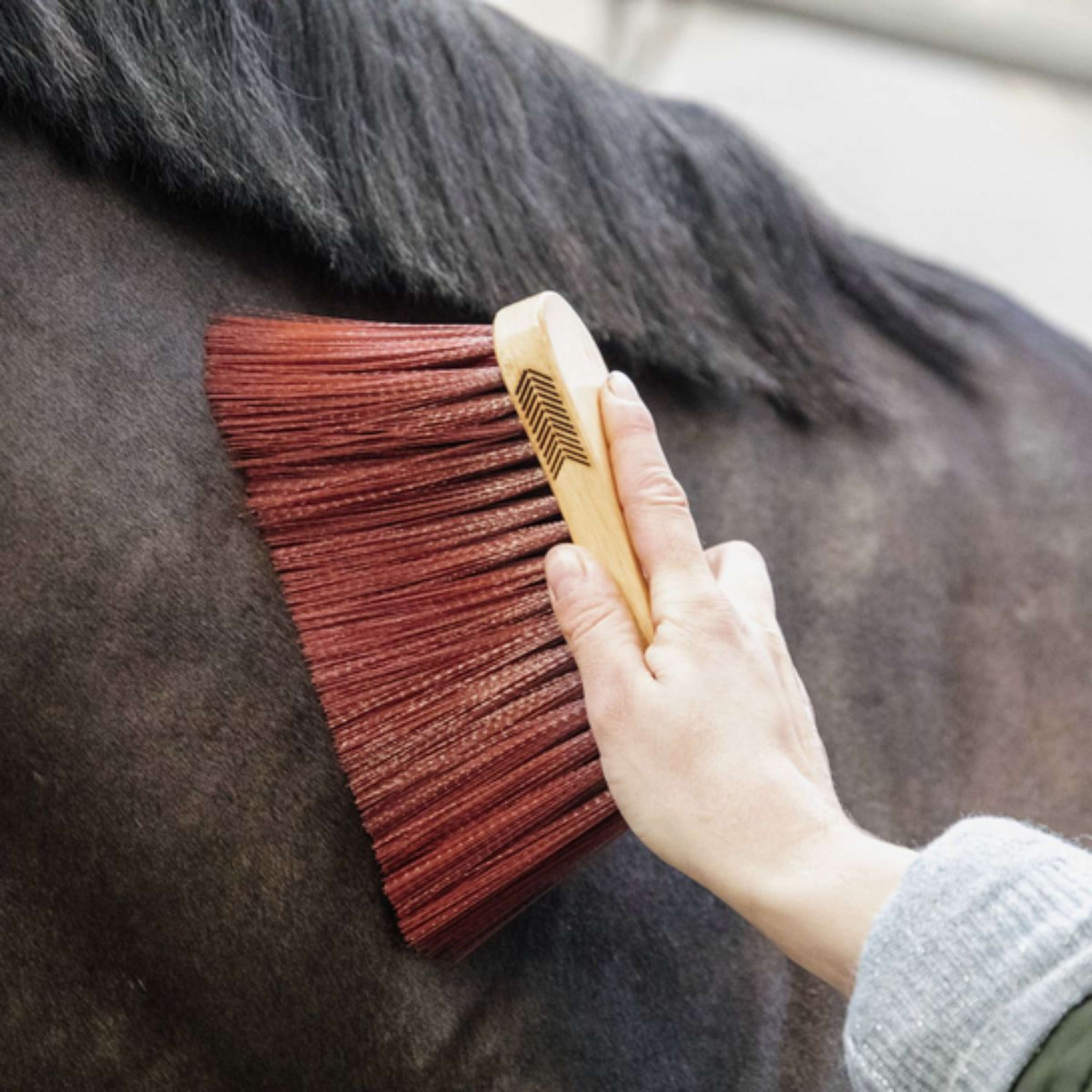 Grooming Deluxe by Kentucky Cepillo Middle Long Marron Grooming Deluxe by Kentucky Cepillo Middle Long Marron