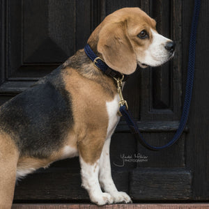 Kentucky Horsewear Halsband Perro Trenzado Nylon Navy