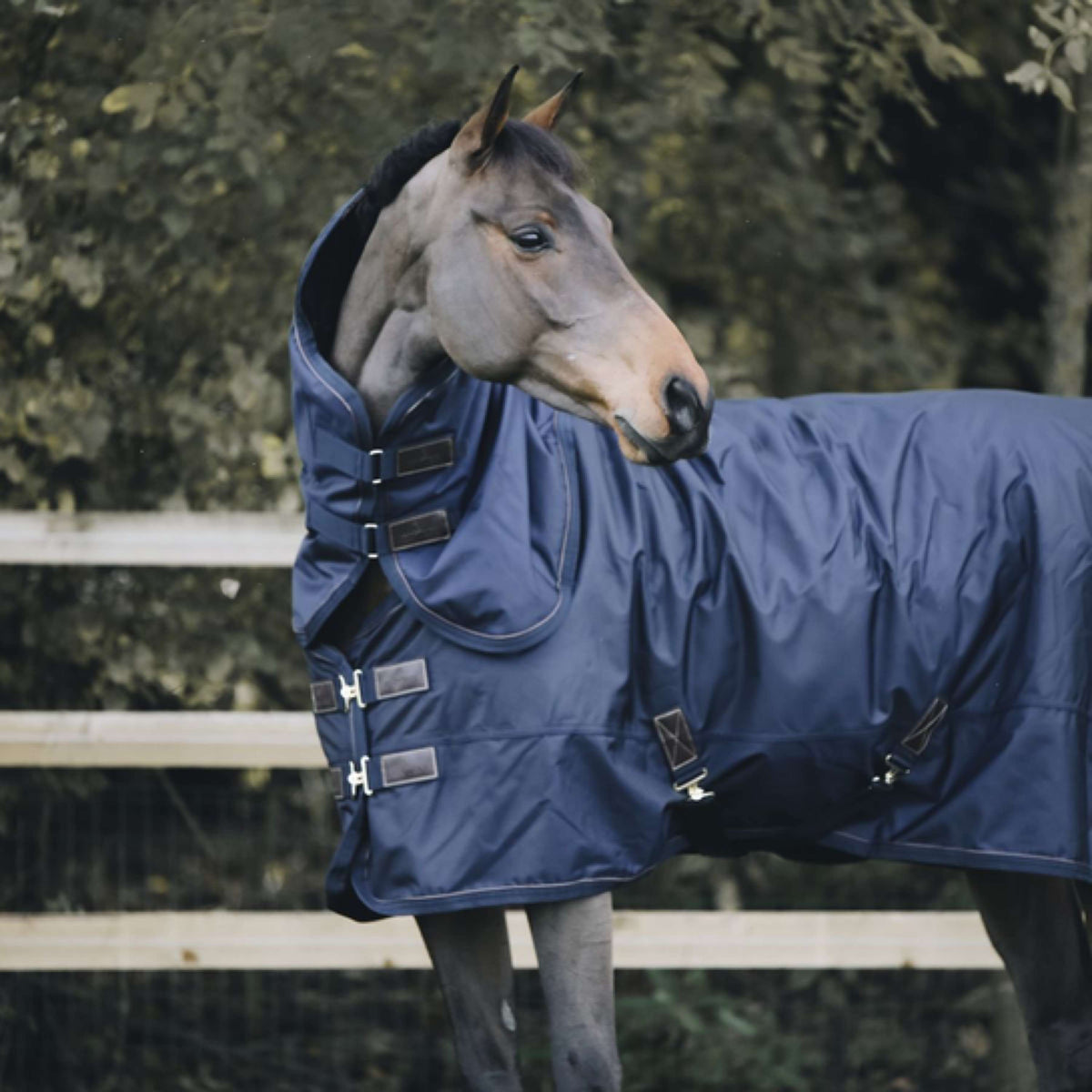 Kentucky Horsewear Cubrecuellos All Weather 150g Navy