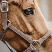 Kentucky Horsewear Cabezada Marron