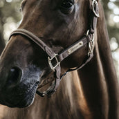 Kentucky Horsewear Cabezada Marron