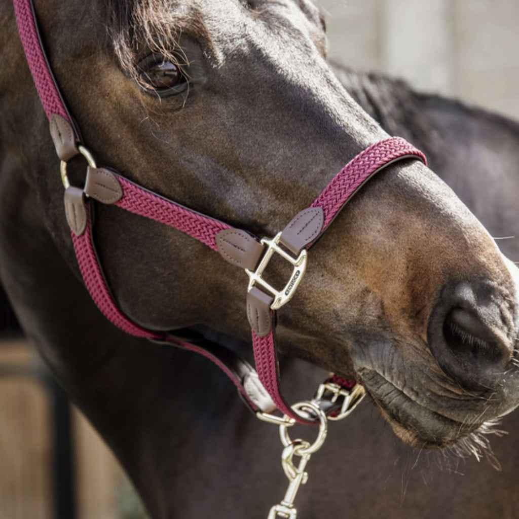 Kentucky Horsewear Cabestro Nylon trenzado Bordeaux