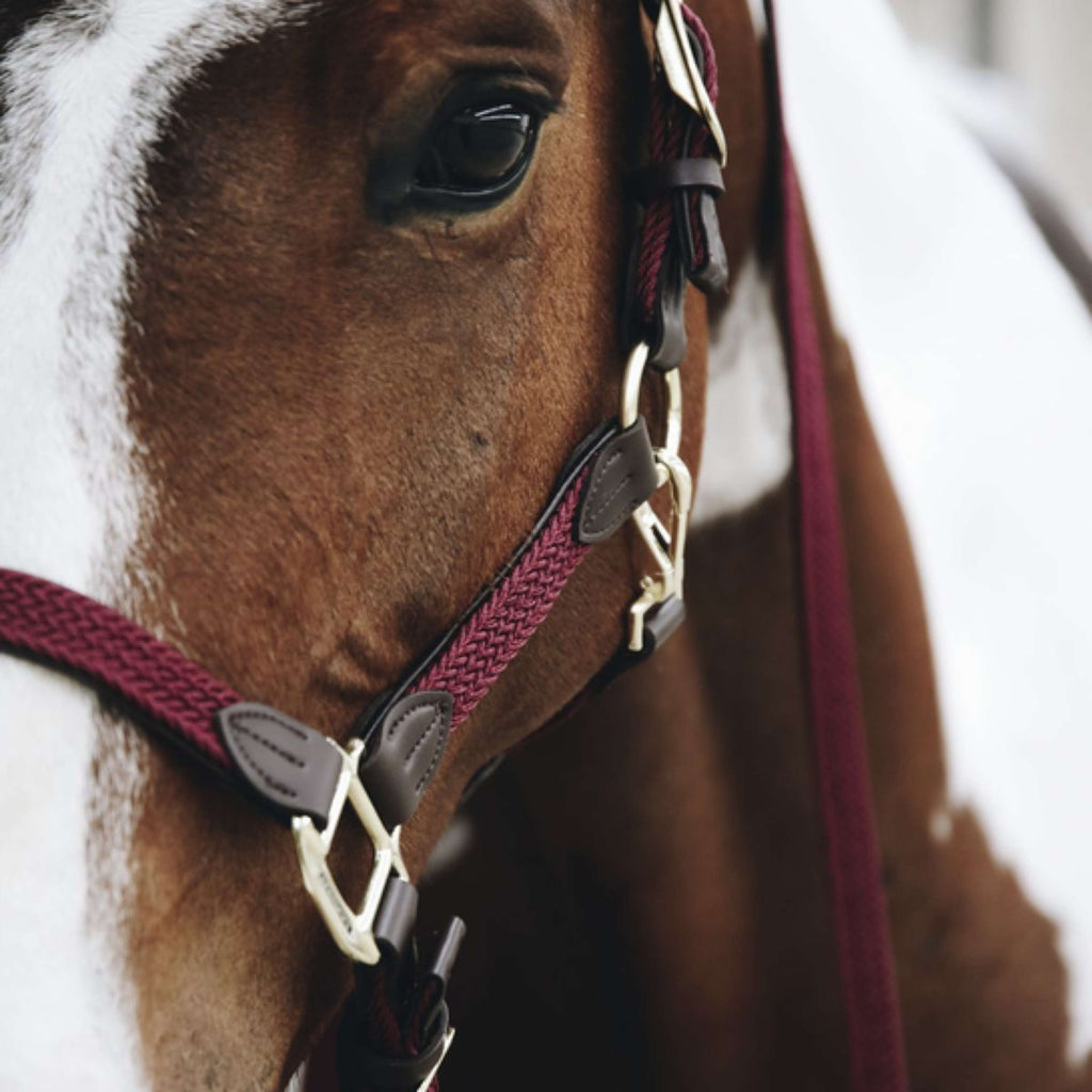 Kentucky Horsewear Cabestro Nylon trenzado Bordeaux