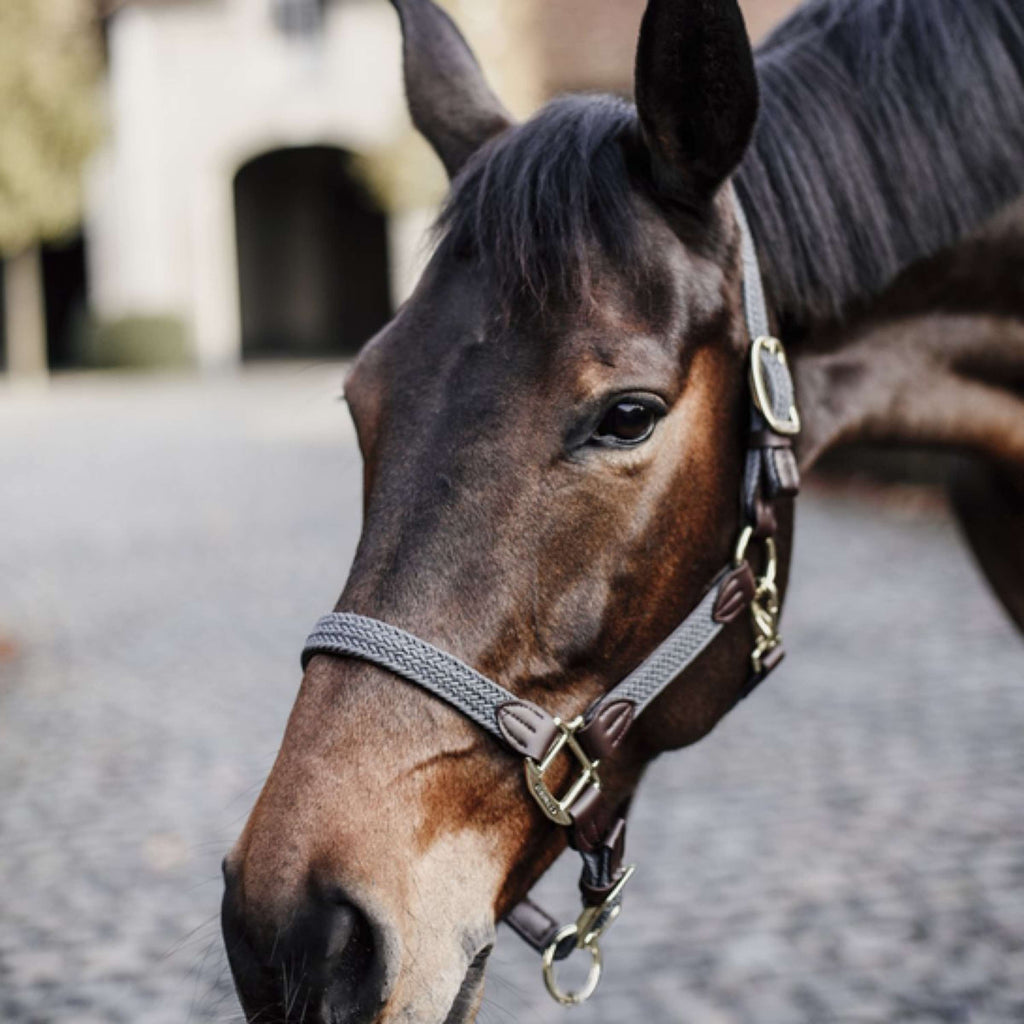 Kentucky Horsewear Cabestro Nylon trenzado Gris